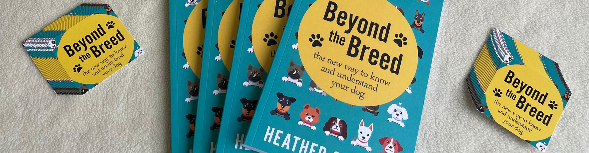 DISCOVER THE FUNCTIONAL CHARACTER BEHIND YOUR DOG’S BEHAVIOUR